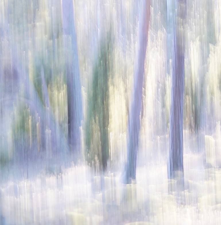 Original Impressionism Nature Photography by Jacob Berghoef