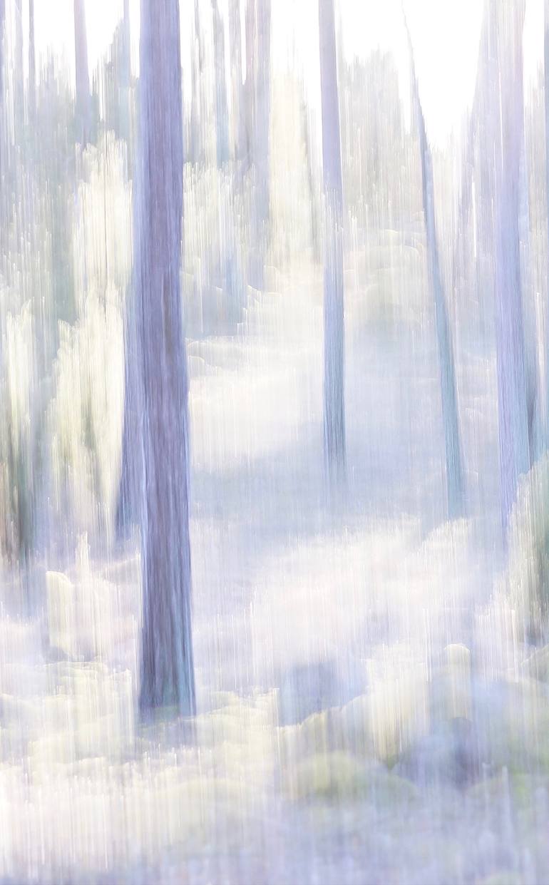Original Impressionism Nature Photography by Jacob Berghoef