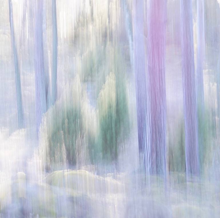 Original Impressionism Nature Photography by Jacob Berghoef