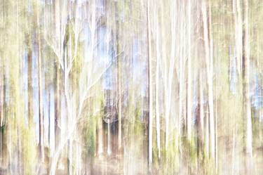 Print of Impressionism Landscape Photography by Jacob Berghoef