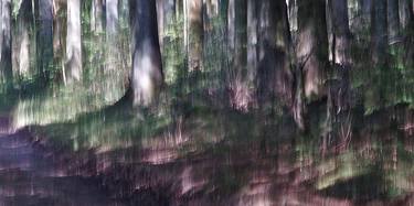 Print of Impressionism Landscape Photography by Jacob Berghoef