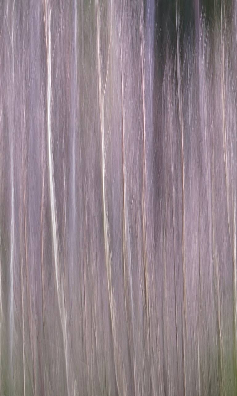 Original Abstract Nature Photography by Jacob Berghoef