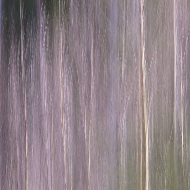 Original Abstract Nature Photography by Jacob Berghoef