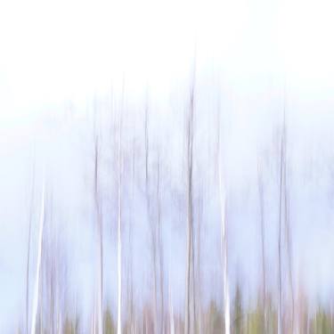 Original Minimalism Nature Photography by Jacob Berghoef