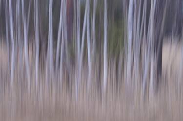 Original Abstract Nature Photography by Jacob Berghoef