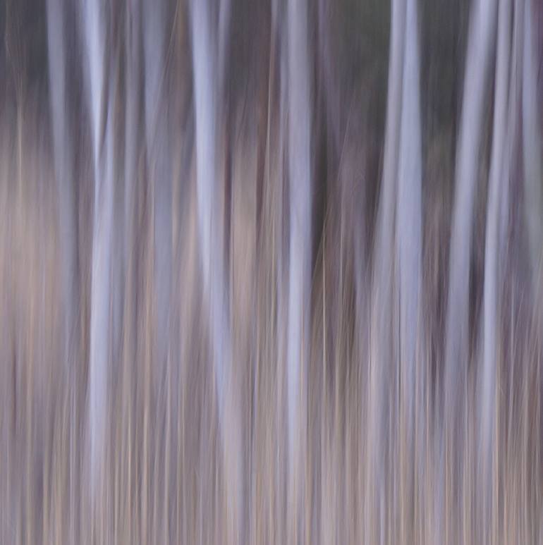 Original Abstract Nature Photography by Jacob Berghoef