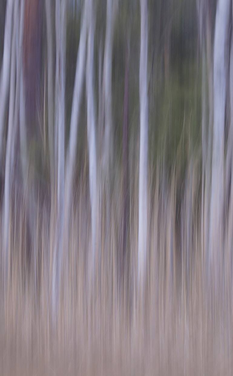 Original Abstract Nature Photography by Jacob Berghoef