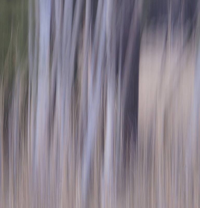 Original Abstract Nature Photography by Jacob Berghoef