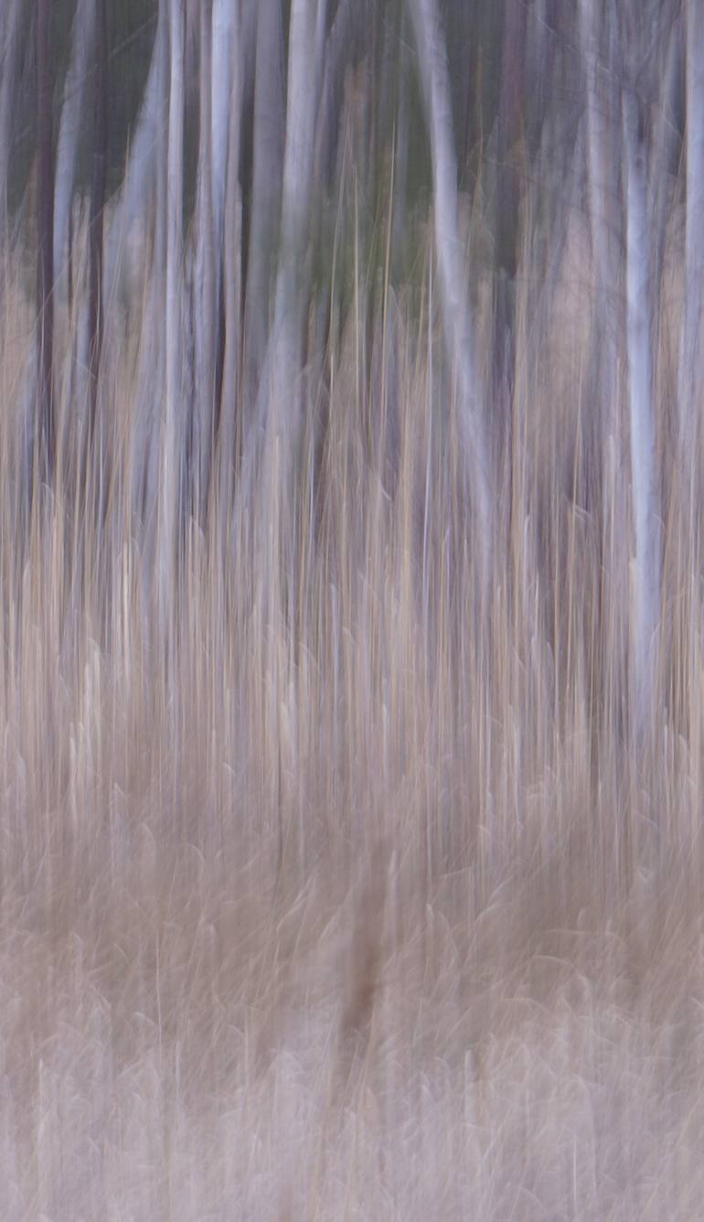 Original Impressionism Nature Photography by Jacob Berghoef