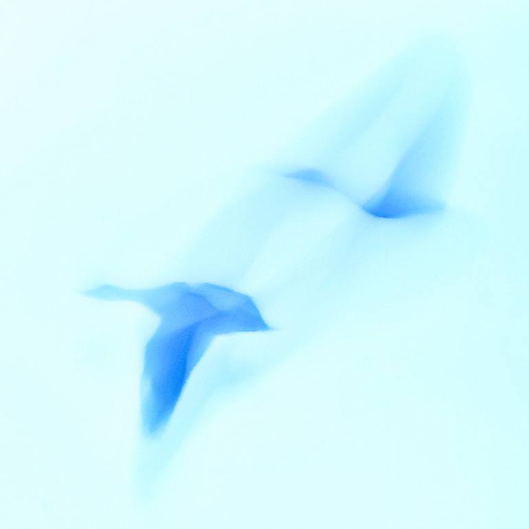 Original Impressionism Nature Photography by Jacob Berghoef