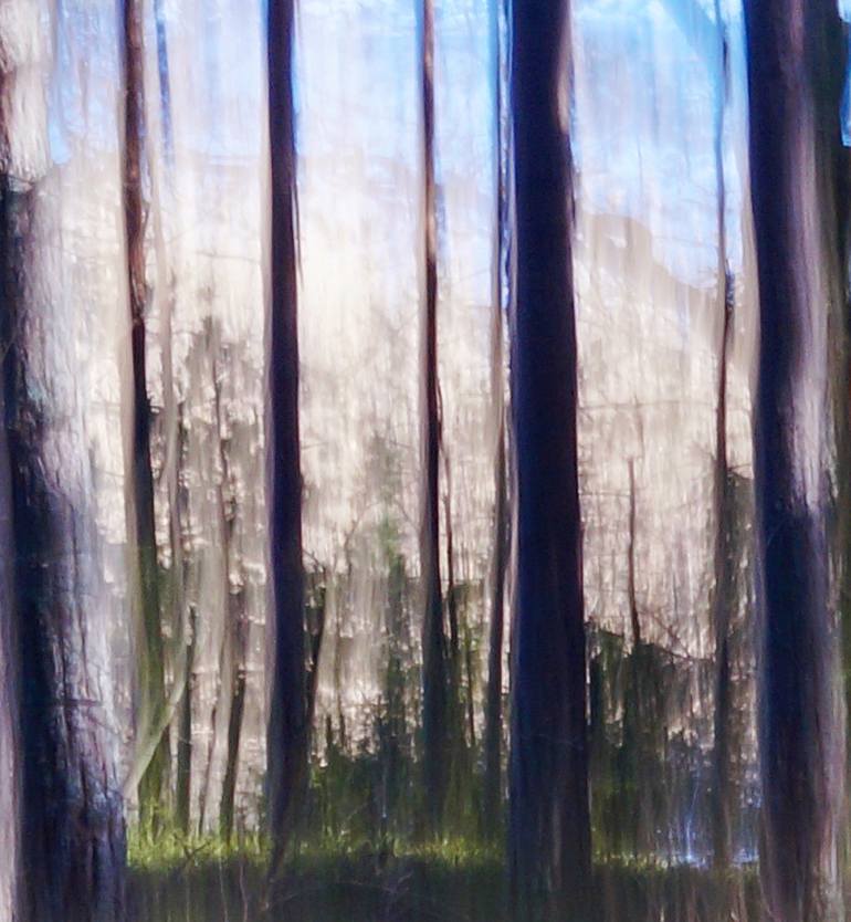 Original Impressionism Landscape Photography by Jacob Berghoef