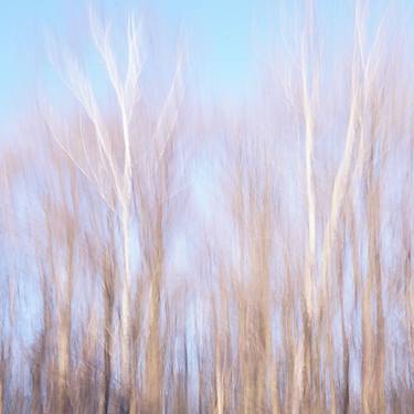 Original Impressionism Nature Photography by Jacob Berghoef