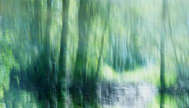 Original Impressionism Nature Photography by Jacob Berghoef