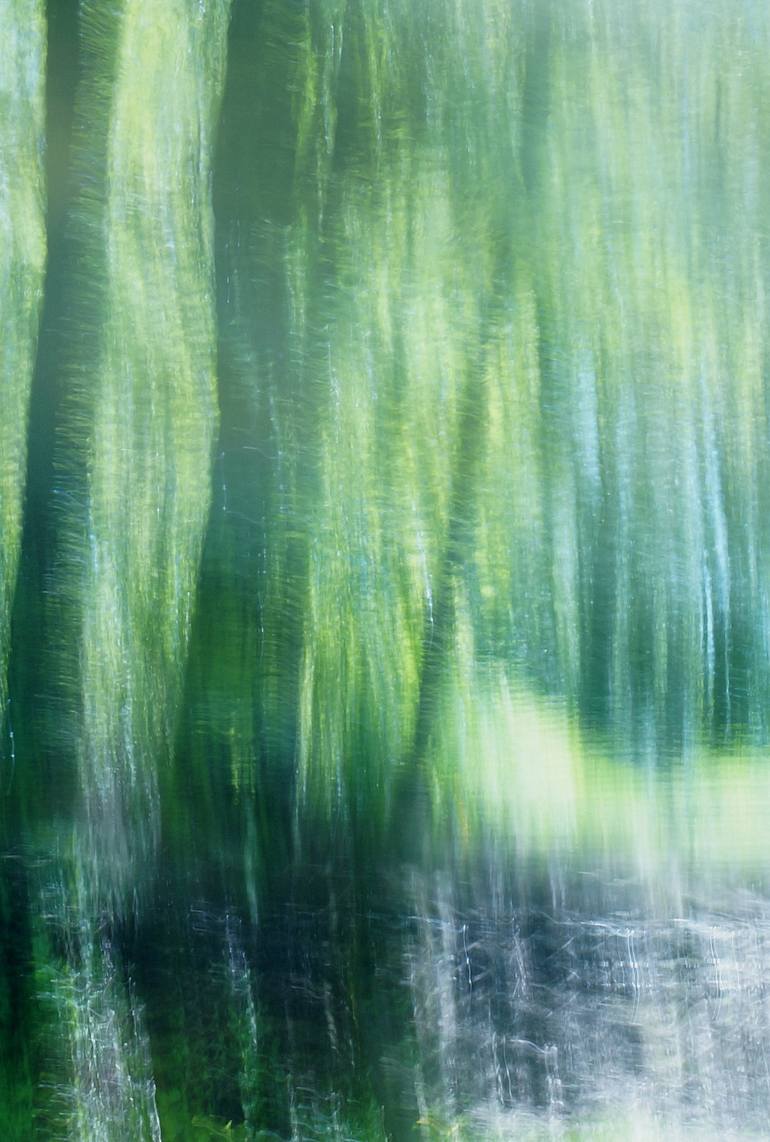 Original Impressionism Nature Photography by Jacob Berghoef