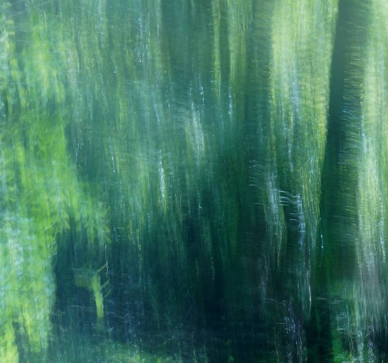 Original Impressionism Nature Photography by Jacob Berghoef