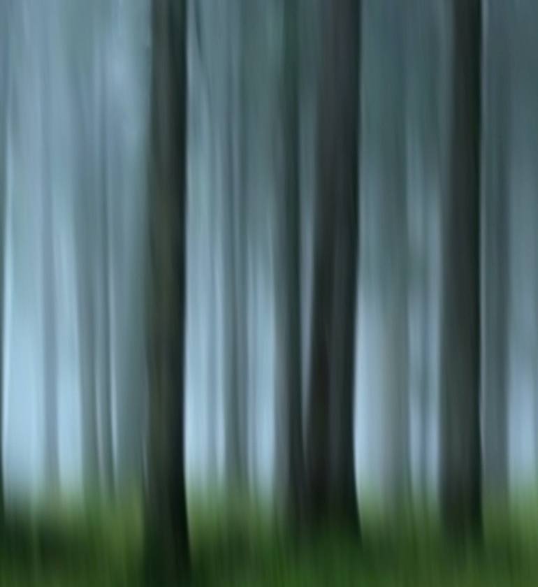 Original Impressionism Landscape Photography by Jacob Berghoef