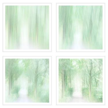 Four - quadriptych / series, 4 separate prints thumb