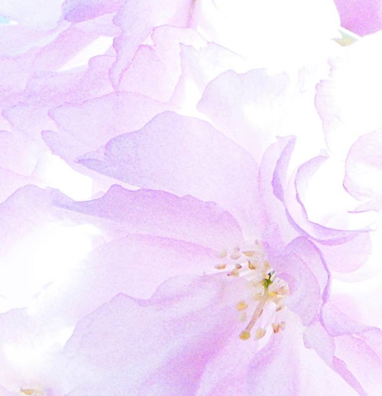 Original Figurative Floral Photography by Jacob Berghoef