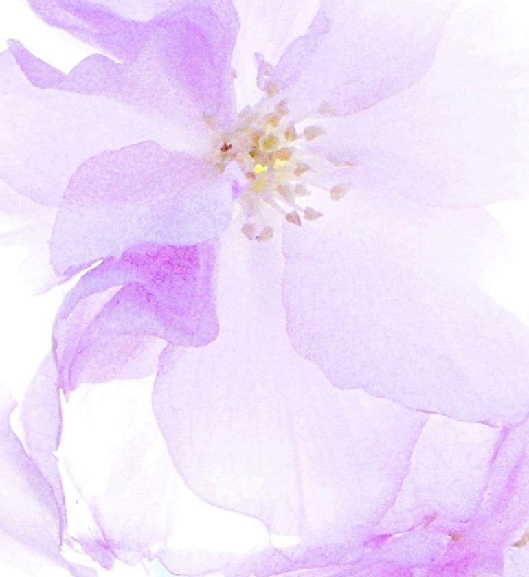 Original Fine Art Floral Photography by Jacob Berghoef