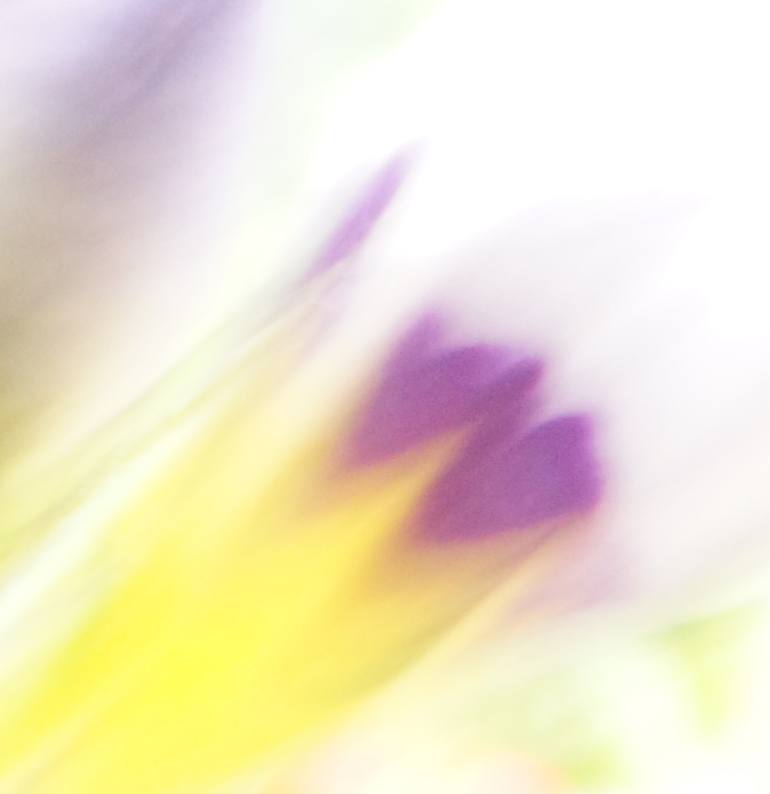 Original Impressionism Floral Photography by Jacob Berghoef