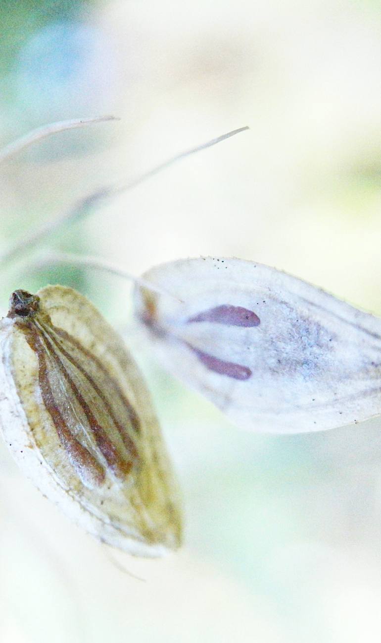 Original Impressionism Nature Photography by Jacob Berghoef