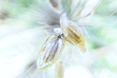 Original Impressionism Nature Photography by Jacob Berghoef