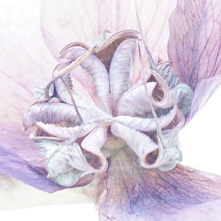 Original Figurative Nature Photography by Jacob Berghoef