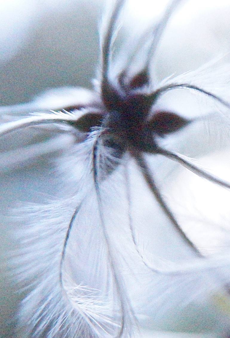 Original Impressionism Nature Photography by Jacob Berghoef