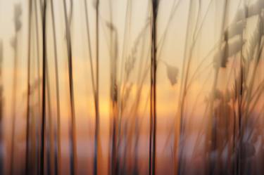 Print of Impressionism Nature Photography by Jacob Berghoef