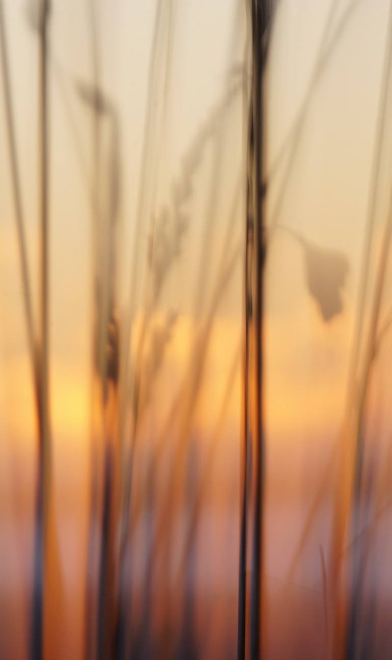 Original Impressionism Nature Photography by Jacob Berghoef