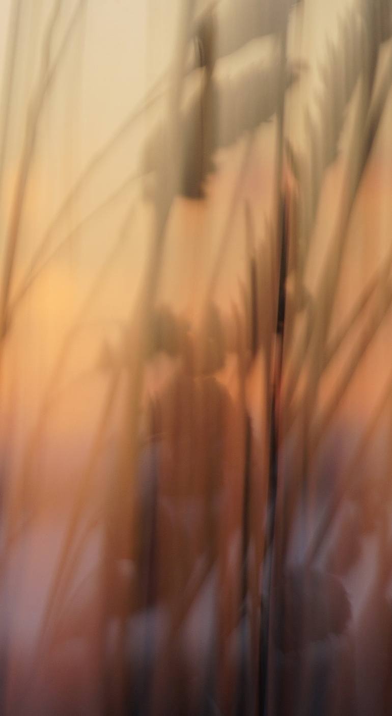 Original Impressionism Nature Photography by Jacob Berghoef