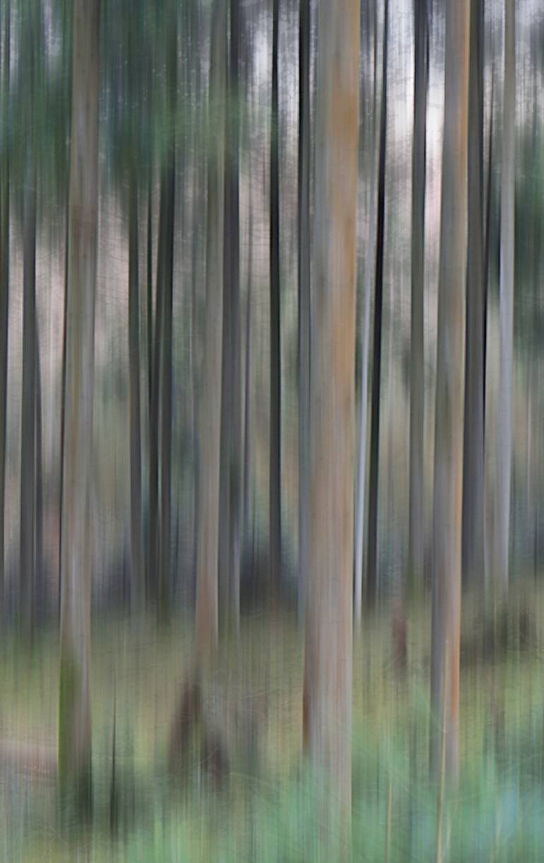 Original Impressionism Nature Photography by Jacob Berghoef