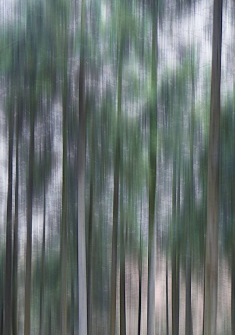 Original Impressionism Nature Photography by Jacob Berghoef