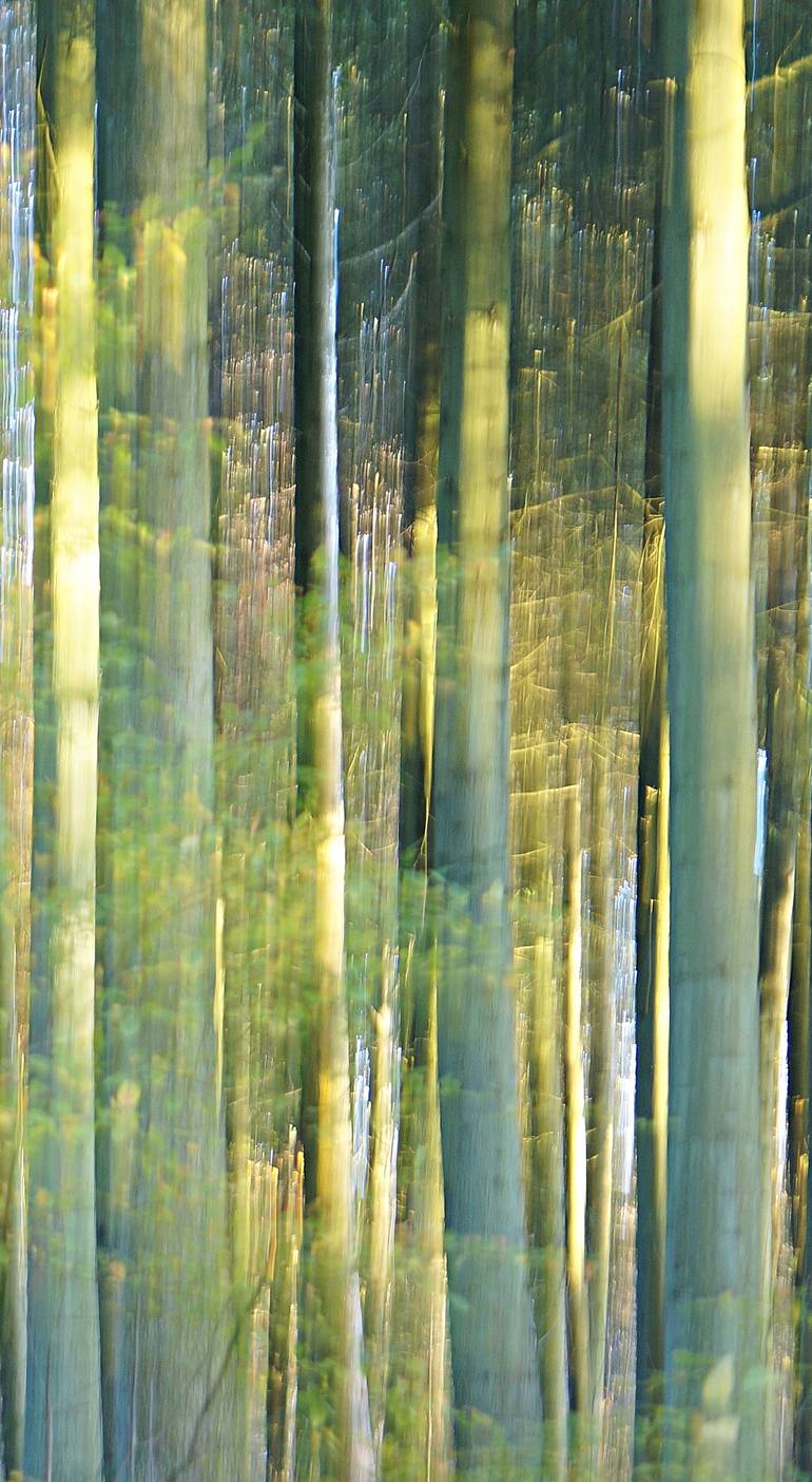 Original Impressionism Nature Photography by Jacob Berghoef