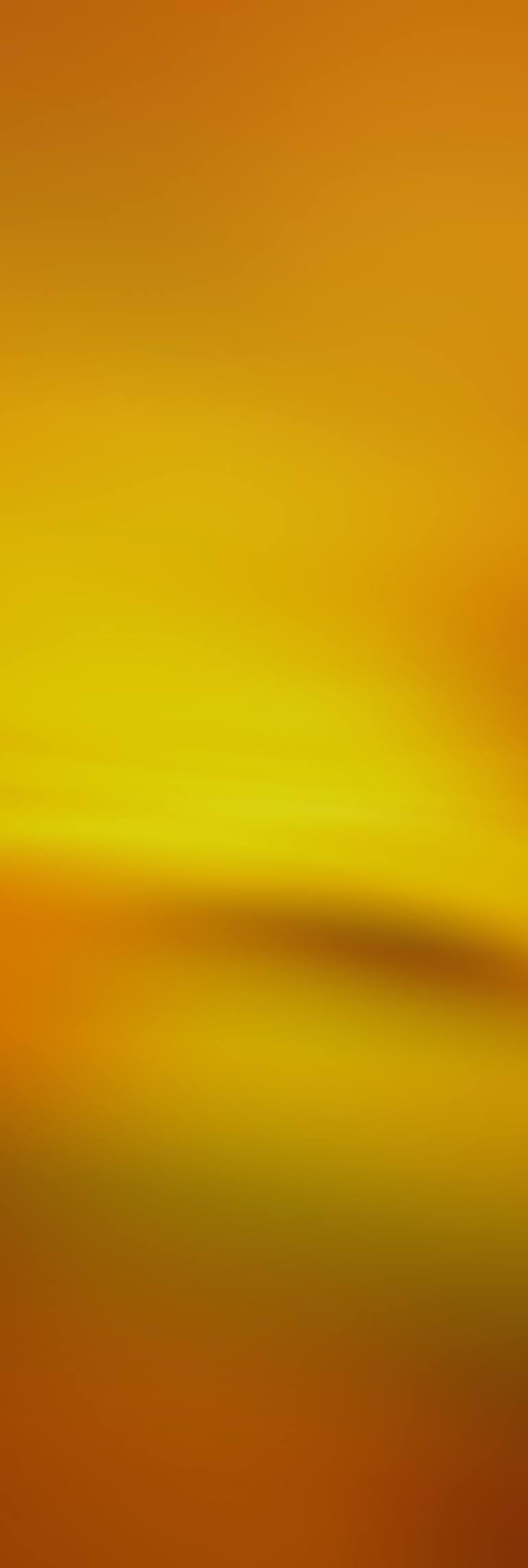 Original Abstract Photography by Jacob Berghoef