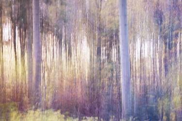 Print of Impressionism Landscape Photography by Jacob Berghoef