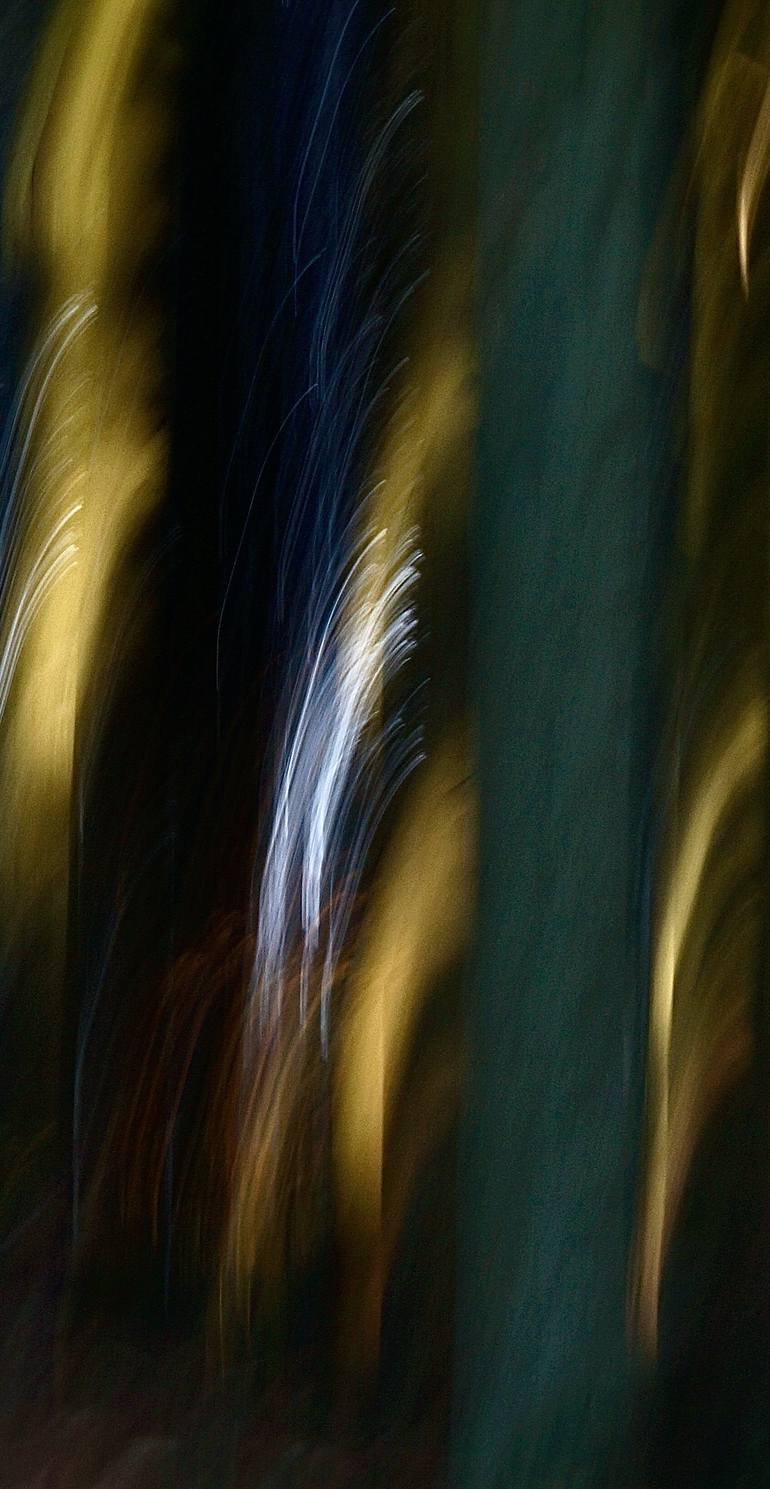 Original Abstract Expressionism Abstract Photography by Jacob Berghoef