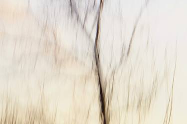 Original Abstract Expressionism Abstract Photography by Jacob Berghoef