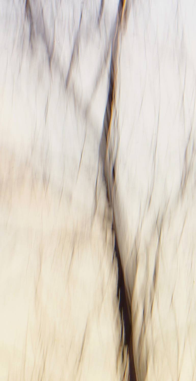 Original Abstract Expressionism Abstract Photography by Jacob Berghoef