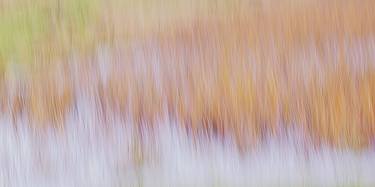 Print of Impressionism Nature Photography by Jacob Berghoef