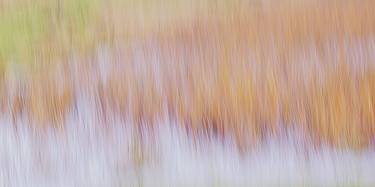 Original Impressionism Nature Photography by Jacob Berghoef