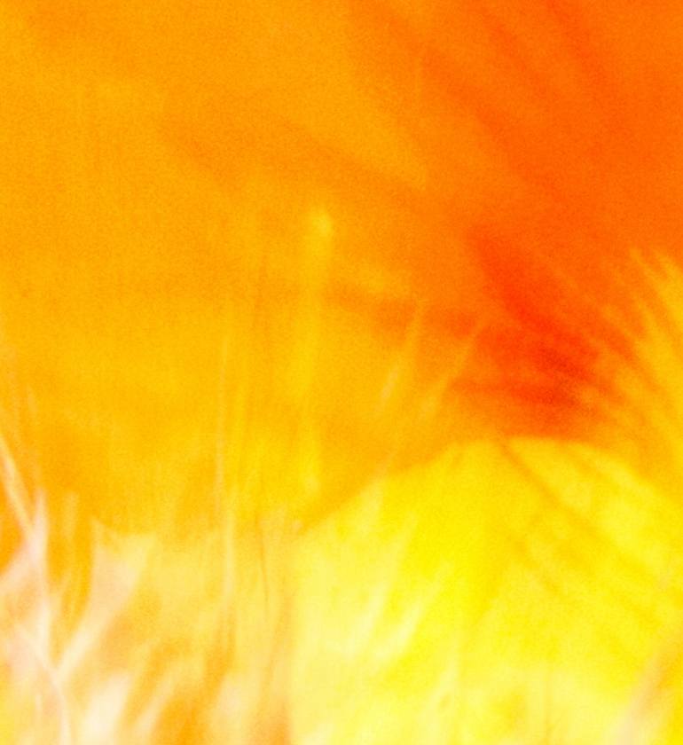 Original Abstract Expressionism Abstract Photography by Jacob Berghoef