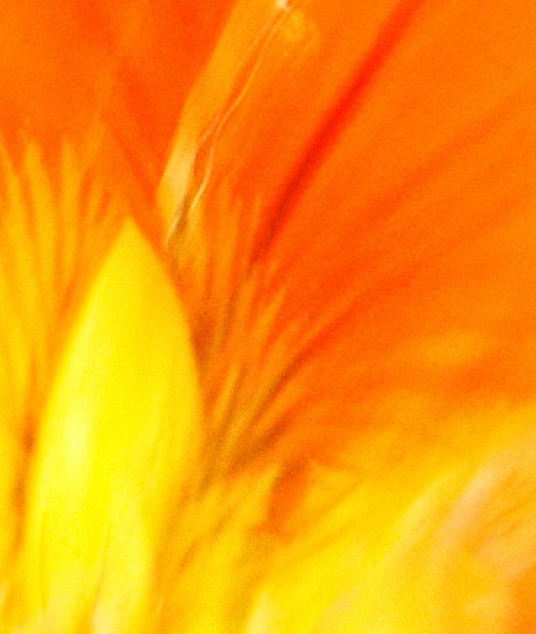 Original Abstract Expressionism Abstract Photography by Jacob Berghoef