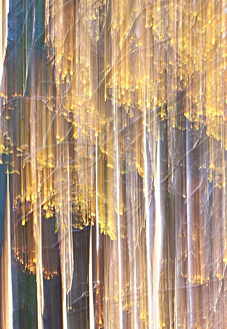 Original Impressionism Tree Photography by Jacob Berghoef