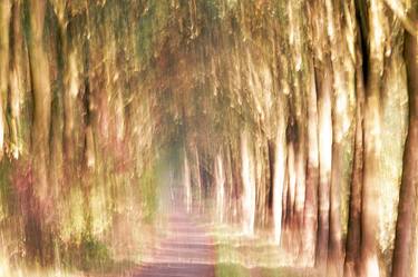 Original Impressionism Landscape Photography by Jacob Berghoef