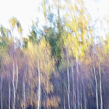 Print of Impressionism Nature Photography by Jacob Berghoef