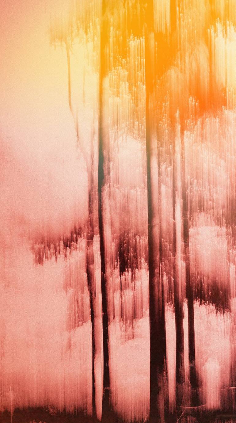 Original Expressionism Nature Photography by Jacob Berghoef