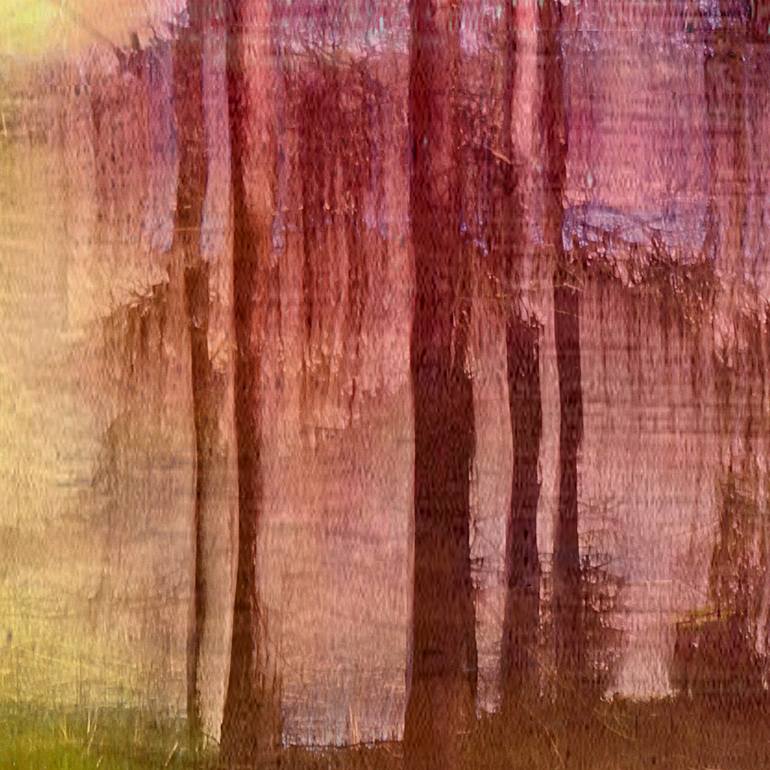 Original Expressionism Landscape Photography by Jacob Berghoef