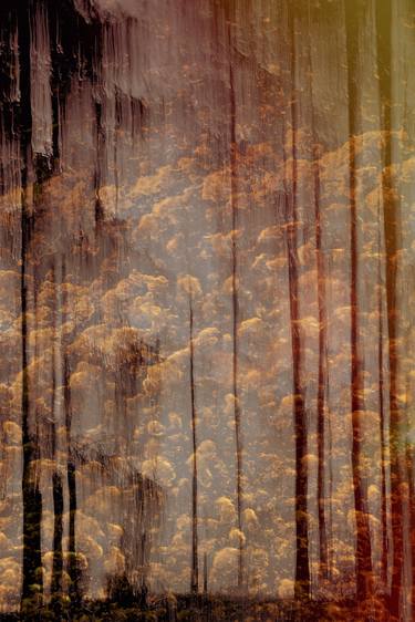 Original Impressionism Nature Photography by Jacob Berghoef