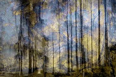 Original Expressionism Landscape Photography by Jacob Berghoef